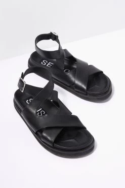 Noah Sandal
